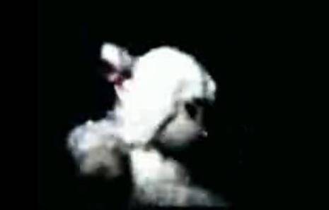 Sheep Moves